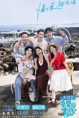 武侠电视剧雪满弓刀海报